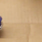 Carrera Evolution 25576 "American Way" Slot Cars LN/Box