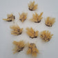 JG Miniatures S33 Scenic Range Long Dry Grass LN/Box