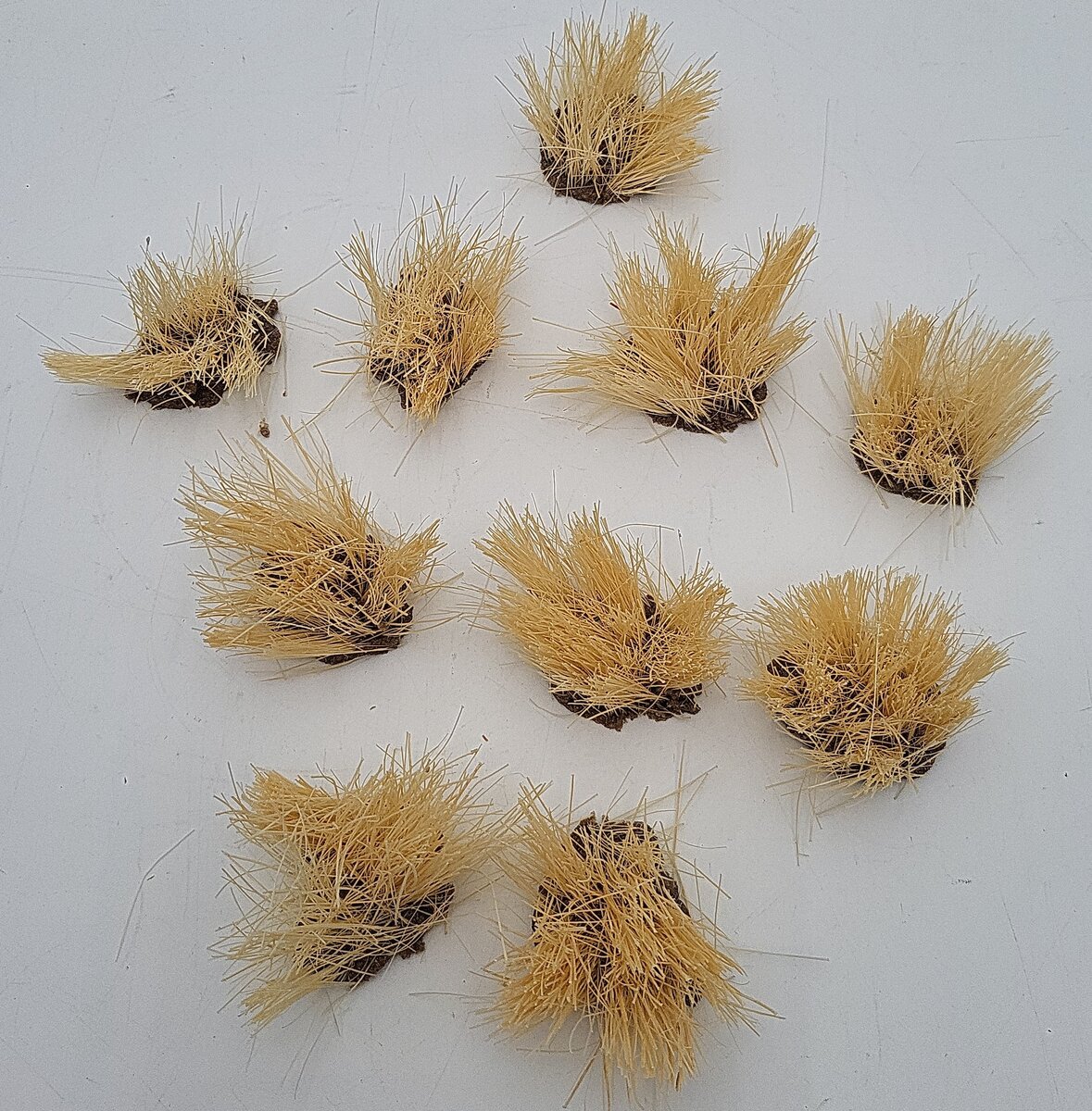 JG Miniatures S33 Scenic Range Long Dry Grass LN/Box