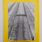 Auto Racks Vol.1 Paperback Book By David G. Casdorph EX