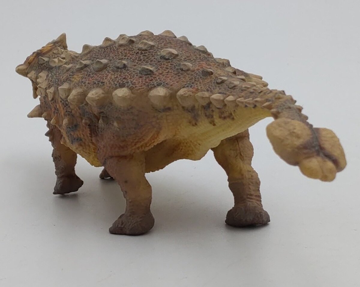 PNSO 13 1:35 Sede the Ankylosaurus Model w/ Poster & Booklet LN/Box