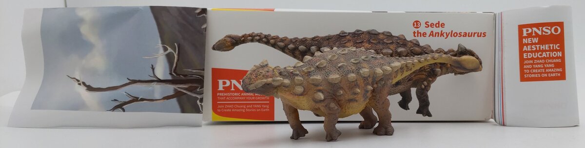 PNSO 13 1:35 Sede the Ankylosaurus Model w/ Poster & Booklet LN/Box