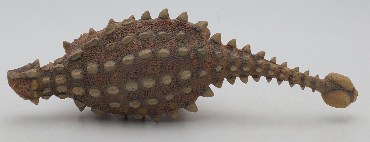 PNSO 13 1:35 Sede the Ankylosaurus Model w/ Poster & Booklet LN/Box