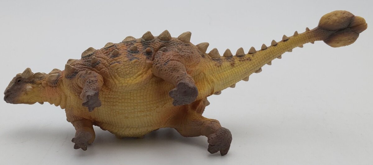PNSO 13 1:35 Sede the Ankylosaurus Model w/ Poster & Booklet LN/Box