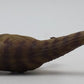 PNSO 45 1:35 Paul the Allosaurus w/ Poster & Booklet EX/Box