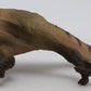 PNSO 45 1:35 Paul the Allosaurus w/ Poster & Booklet EX/Box