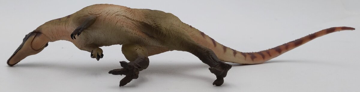 PNSO 45 1:35 Paul the Allosaurus w/ Poster & Booklet EX/Box