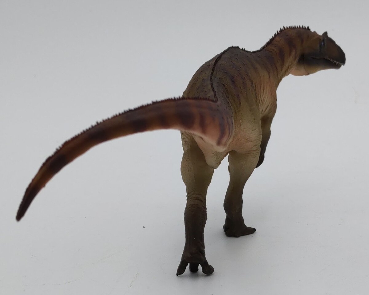 PNSO 45 1:35 Paul the Allosaurus w/ Poster & Booklet EX/Box