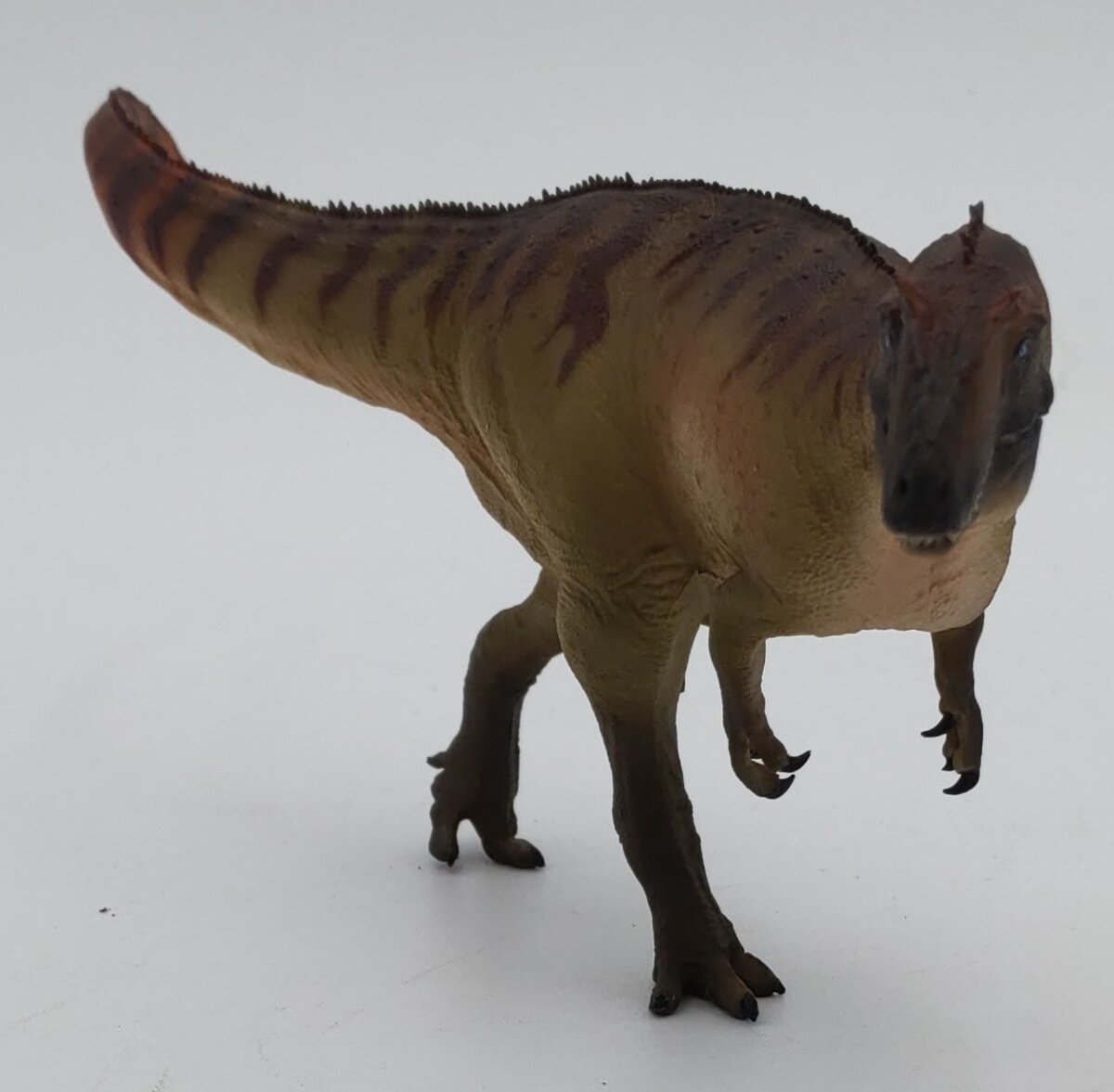PNSO 45 1:35 Paul the Allosaurus w/ Poster & Booklet EX/Box