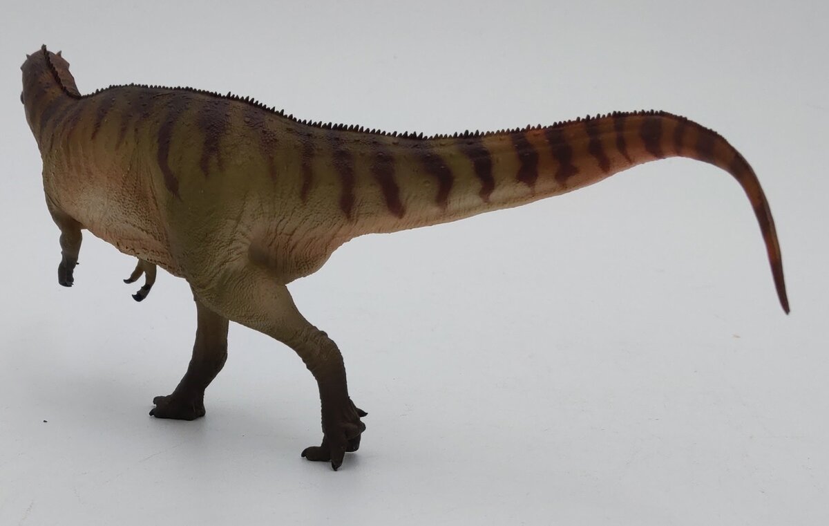 PNSO 45 1:35 Paul the Allosaurus w/ Poster & Booklet EX/Box