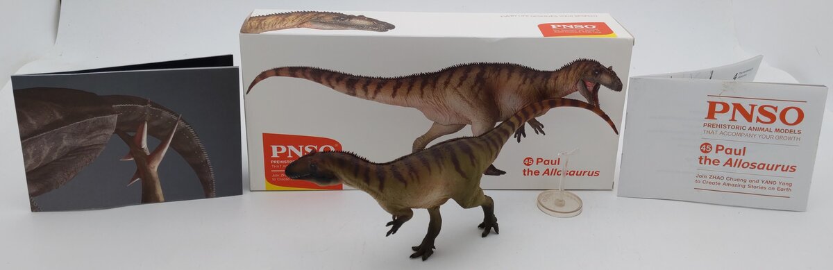 PNSO 45 1:35 Paul the Allosaurus w/ Poster & Booklet EX/Box