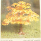 Bachmann 49002 O Scale Plasticville Autumn Shade Trees Kit (Box of 3)