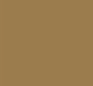 AK Interactive 11302 AFV Series: WWI French Coffee 17ml Acrylic Paint Bottle