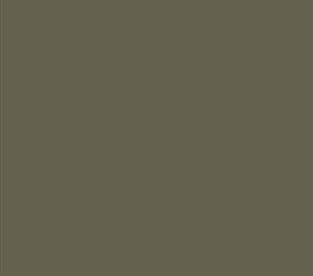 AK Interactive 11307 AFV Series: Light Grey RAL7009 17ml Acrylic Paint Bottle