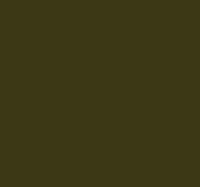 AK Interactive 11310 AFV Series: Olive Green 2 RAL60 17ml Acrylic Paint Bottle