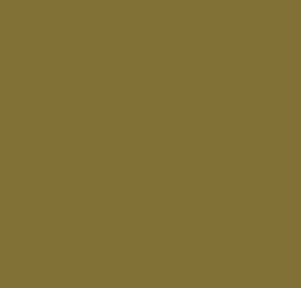 AK Interactive 11313 AFV Series: Grey Green RAL7008 17ml Acrylic Paint Bottle