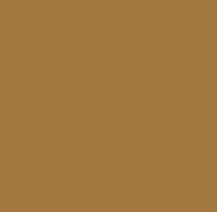 AK Interactive 11326 AFV Series: Sand Brown RAL8031 F9 17ml Acrylic Paint Bottle