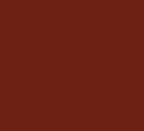 AK Interactive 11328 AFV Series: Red Brown RAL8012 17ml Acrylic Paint Bottle