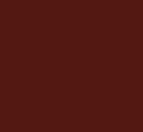 AK Interactive 11329 AFV Series: Red Brown RAL8013 17ml Acrylic Paint Bottle