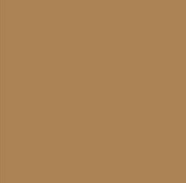 AK Interactive 11331 AFV Series: Brown RAL8020 17ml Acrylic Paint Bottle