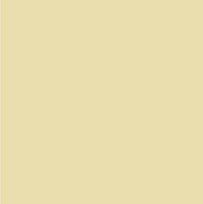 AK Interactive 11333 AFV Series: Cream White 17ml Acrylic Paint Bottle