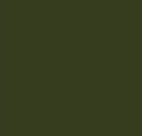 AK Interactive 11342 AFV Series: Dark Green FS34102 17ml Acrylic Paint Bottle