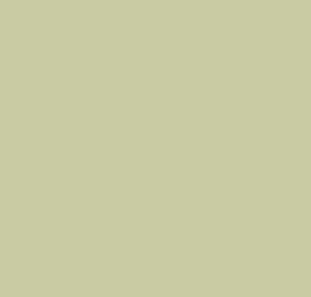AK Interactive 11345 AFV Series: APC Interior Lt Green 17ml Acrylic Paint Bottle