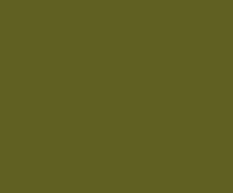 AK Interactive 11348 AFV Series: Australian Camo Green 17ml Acrylic Paint Bottle