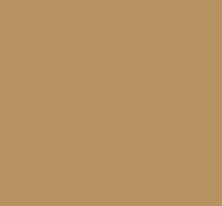 AK Interactive 11349 AFV Series: CARC Tan 686A FS33446 17ml Acrylic Paint Bottle