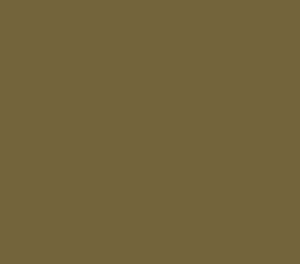AK Interactive 11353 AFV Series: IDF Sand Grey 1970-98 17ml Acrylic Paint Bottle