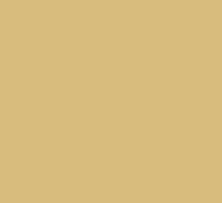 AK Interactive 11361 AFV Series: New Iraqi Army Sand 17ml Acrylic Paint Bottle