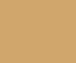 AK Interactive 11363 AFV Series: French Army Sand 17ml Acrylic Paint Bottle