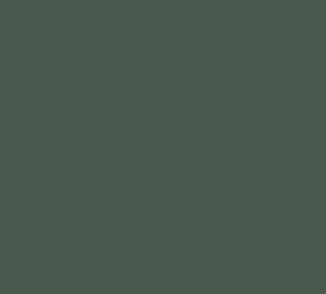 AK Interactive 11364 AFV Series: French Army Green 17ml Acrylic Paint Bottle