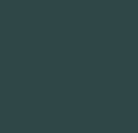 AK Interactive 11365 AFV Series: French Army Grey Blue 17ml Acrylic Paint Bottle
