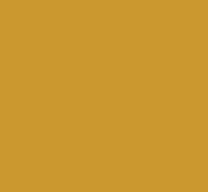 AK Interactive 11366 AFV Series: Mustard Yellow 17ml Acrylic Paint Bottle