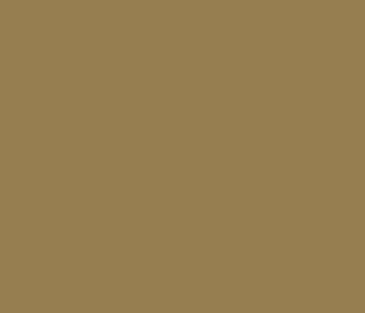 AK Interactive 11370 AFV Series: Russian Sand 7K 17ml Acrylic Paint Bottle