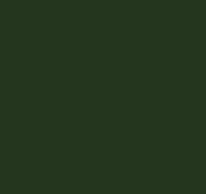 AK Interactive 11371 AFV Series: Protective Green 17ml Acrylic Paint Bottle