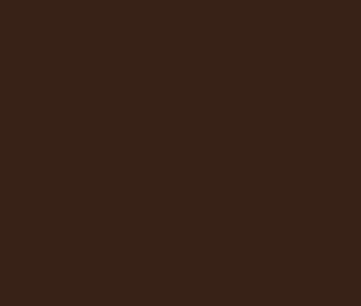 AK Interactive 11384 AFV Series: SCC #1A Dark Brown 17ml Acrylic Paint Bottle