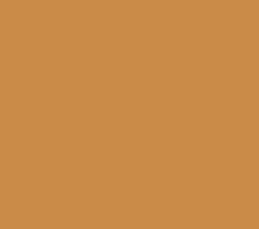 AK Interactive 11409 Figures: Orange Tan 17ml Acrylic Paint Bottle