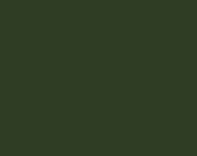 AK Interactive 11415 Figures: Splinter Pattern Green 17ml Acrylic Paint Bottle