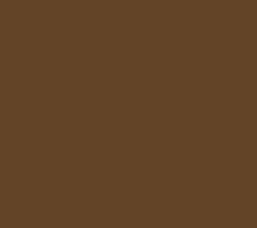 AK Interactive 11417 Figures: Waffen Brown 17ml Acrylic Paint Bottle