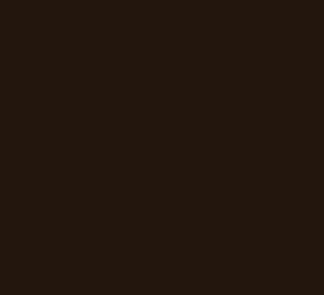 AK Interactive 11418 Figures: Brown Black 17ml Acrylic Paint Bottle
