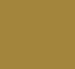 AK Interactive 11422 Figures: Ocher Khaki 17ml Acrylic Paint Bottle