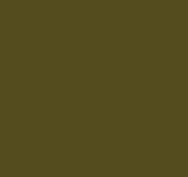 AK Interactive 11433 Figures: U.S. Olive Base Unifo 17ml Acrylic Paint Bottle