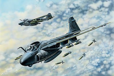 Hobby Boss Models 81710 1:48 Grumman A-6E Tram Intruder Military Plane Kit