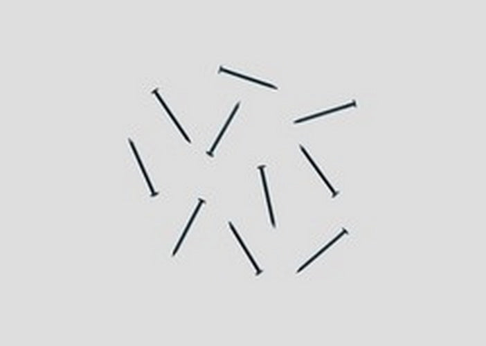 Marklin 8999 Z Track Nails 0.5 x 8 mm (Bag of 100)