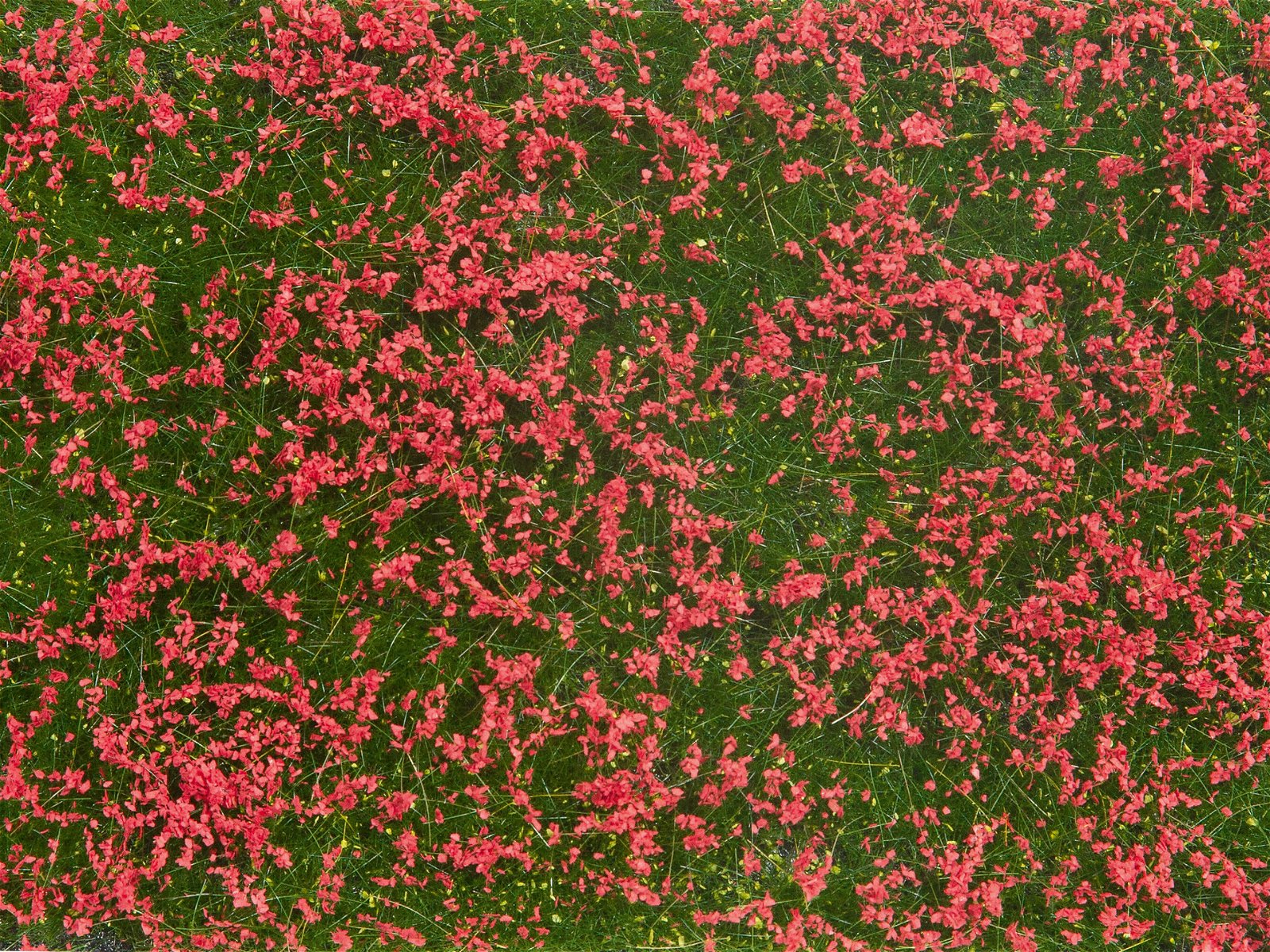 Noch 07257 Meadow Red Groundcover Foliage