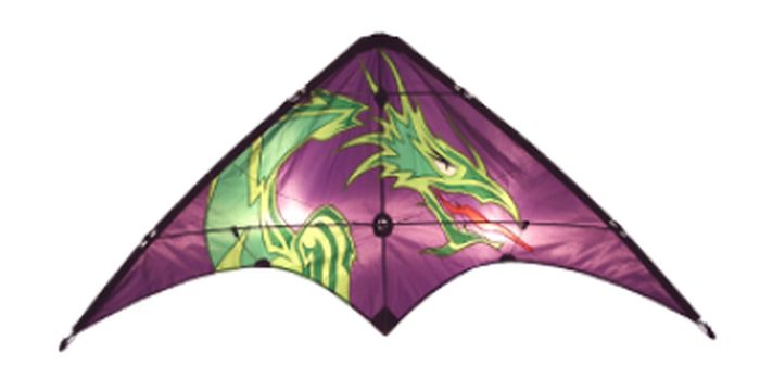 Sky Dog Kites 20404 Learn To Fly Dragon
