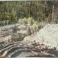 Grand Central Gems T8 Large Pine Trees (Pack of 4)