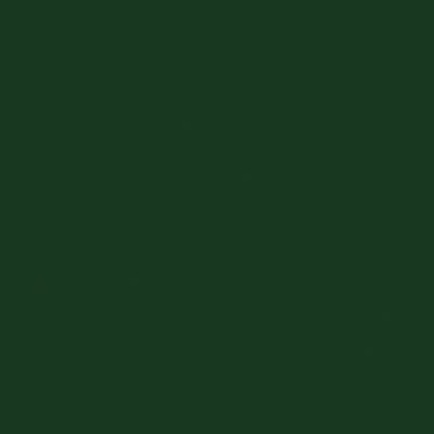Tru-Color 2338 All Scale SAL Dark Green Acrylic Paint - 2 oz. Paint Bottle